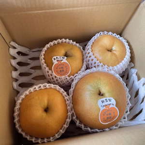 今だけ味わえる！味比べ冬梨セット愛宕梨＋新雪梨（3kg）