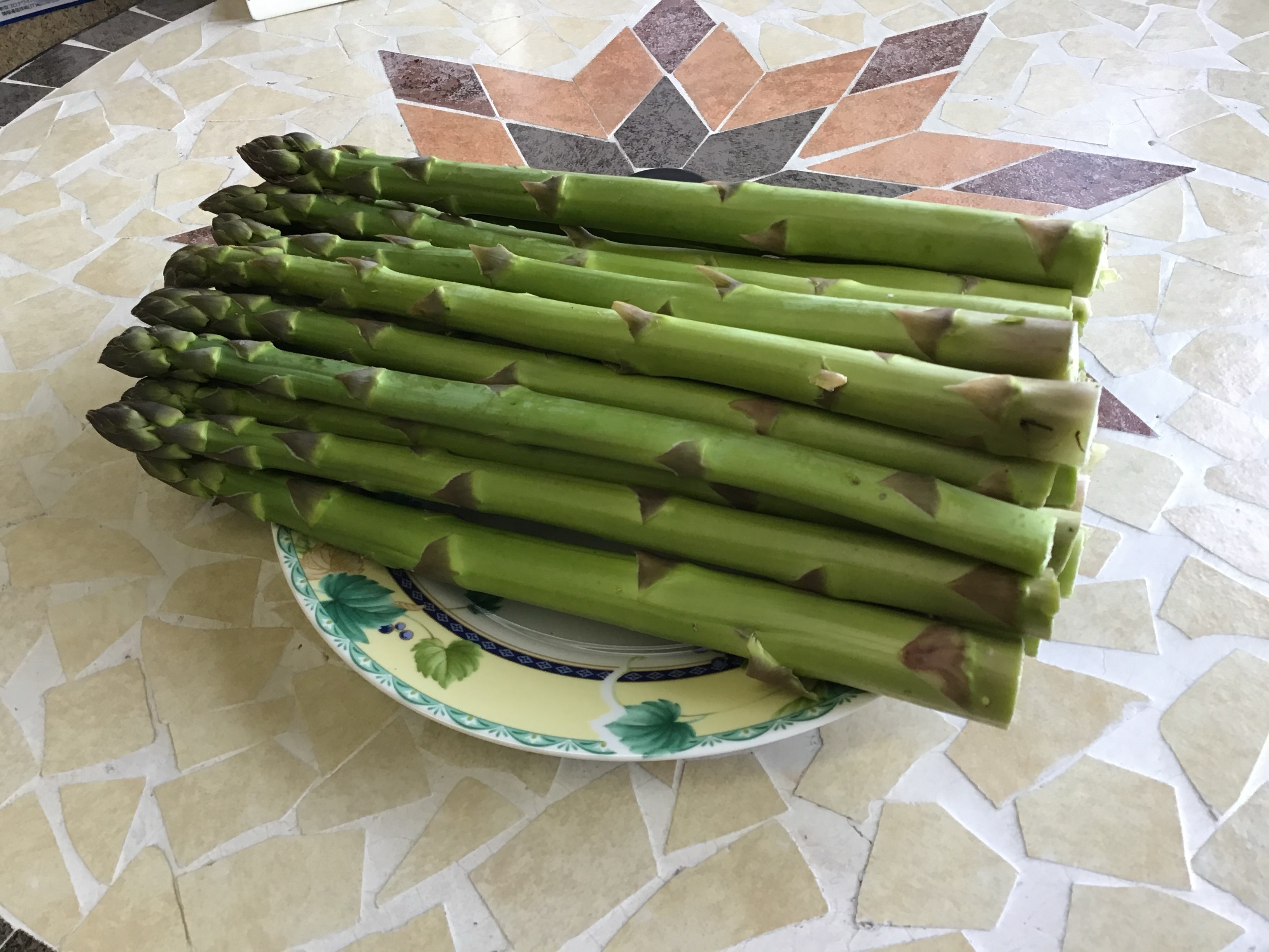 送料無料 アスパラガス 柔らかく甘い 送料込みでお得です 農家漁師から産地直送の通販 ポケットマルシェ