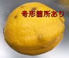 ［加工用］農薬控えめ新鮮レモン7kg