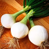 無くなり次第終了！今が旬！みずみずしく辛みも少ない！サラダで美味しい新玉ねぎ2㎏