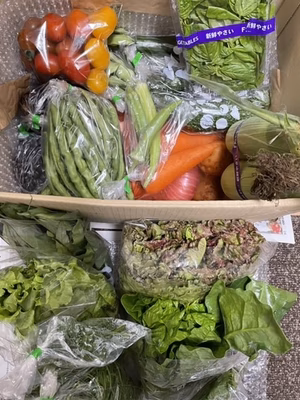 みんなの投稿の画像