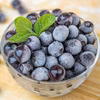 【大粒】太陽の恵　さんさんブルーベリー　冷凍ブルーベリー