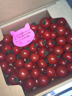 みんなの投稿の画像