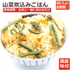 国産 天然 山菜炊込みご飯の素 2合用 4袋 
