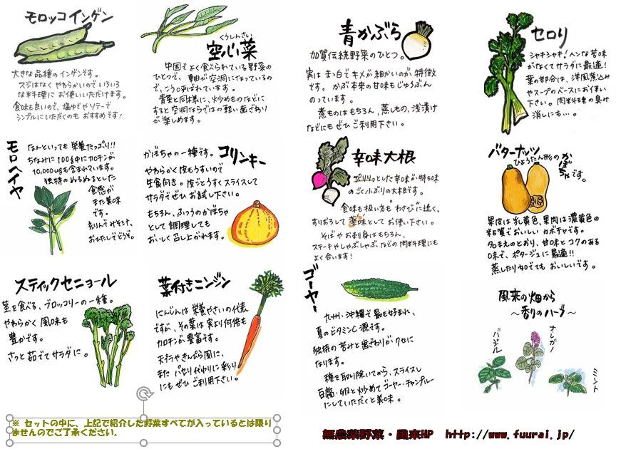 【1日1セット】風来の特製野菜セット（単発販売）