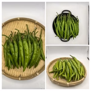 本日限り‼️げきから青とうがらし3種セット