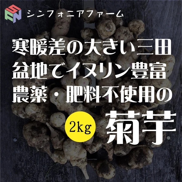 【菊芋】農薬・肥料不使用の三田盆地きくいも２kg