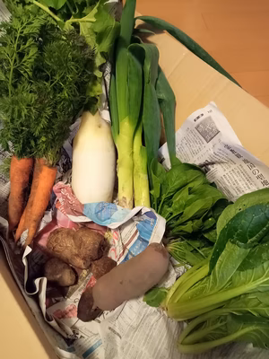 みんなの投稿の画像