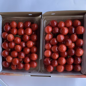 【常温便】朝どりさくらんぼ！M～２Lサイズ1kg(500gﾊﾟｯｸ×2）ご自宅用