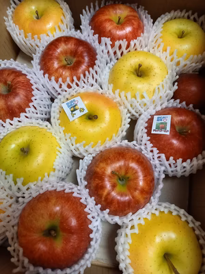 みんなの投稿の画像