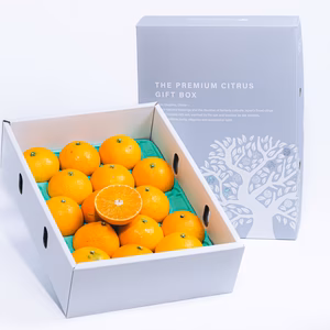 GIFT★プルップルのゼリー食感 EHIME UWAJIMA〈コル’マドンナ〉