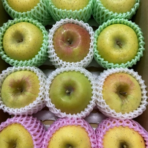黄色りんご詰合せ❗️ぐんま名月 シナノゴールド はるか  約3kg 信州りんご