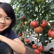 佐藤奈穂子