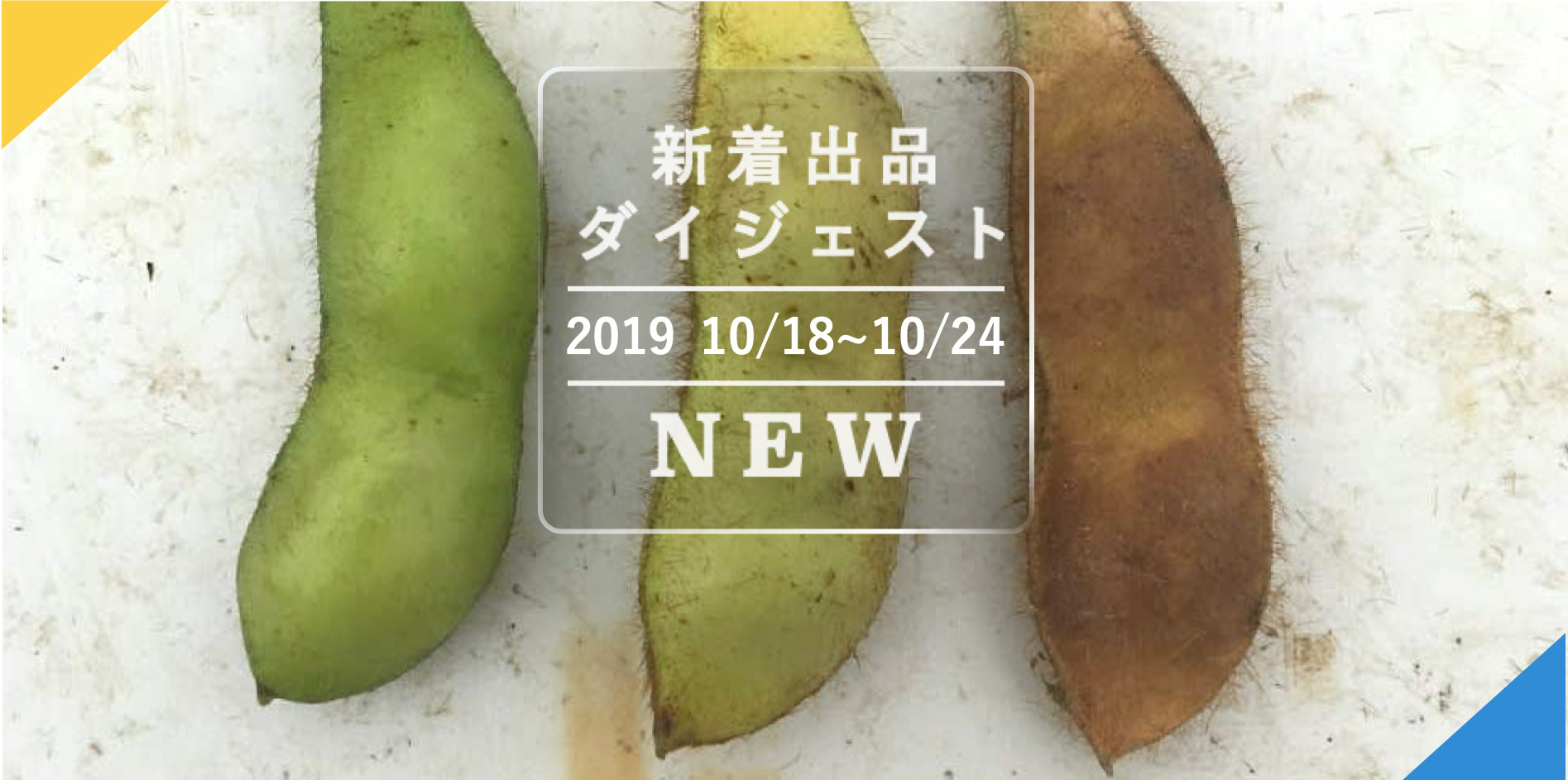 ホワイト六片種 青森県産にんにく（ニンニク） Mサイズ球13kg
