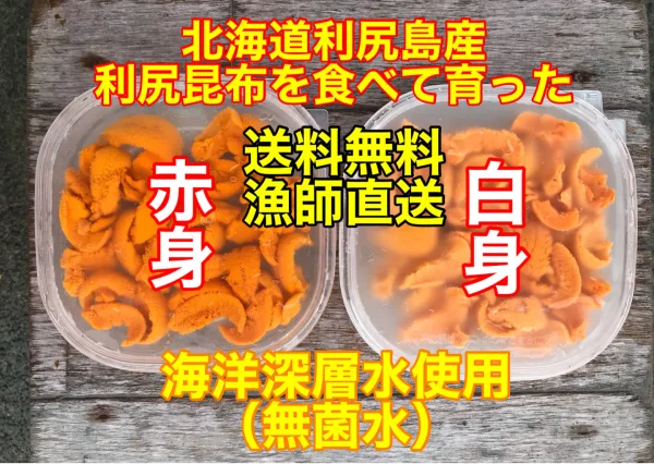 （送料無料）蝦夷バフンウニ 赤身白身食べ比べセット（利尻島産）2パック入り