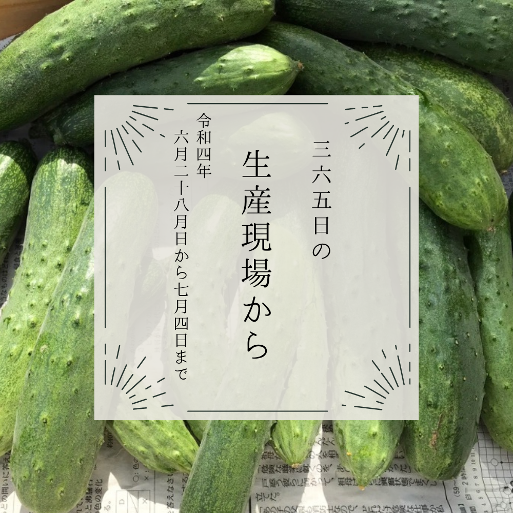 6月28日〜7月4日の生産現場から、小暑の31投稿！ | 農家漁師から産地 
