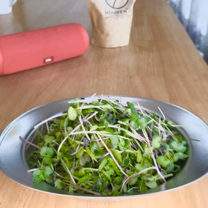マイクログリーンミックス『いつでも”旬”な味』小さな葉っぱに栄養たっぷり！