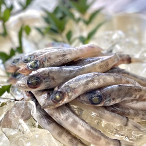 手をかけて唐揚げ食べたい！メヒカリ中小800g