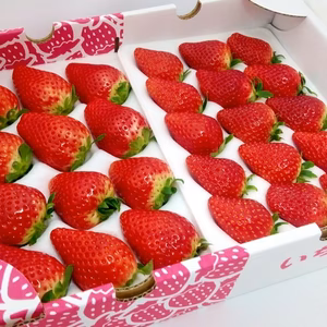 【いちごの里】スカイベリー・とちあいか食べ比べセット【贈答用にもオススメ】