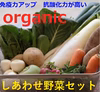 【抗酸化力に注目】オーガニック・しあわせ野菜セット