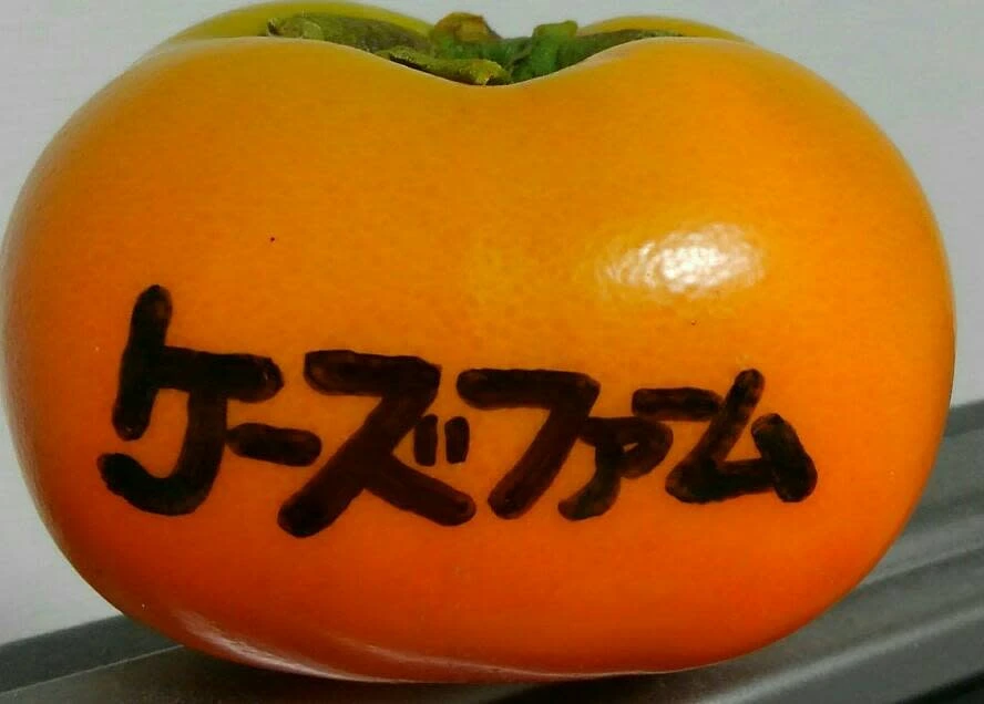 (自家用)和歌山県産たねなし柿2L・3Lサイズ(14個～16個)<柿チャレンジ>