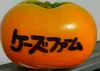 送料無料‼︎和歌山県産たねなし柿（自家用）