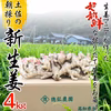 超新鮮！生姜マニアが作る新生姜4㎏　11月1日順次発送予定　