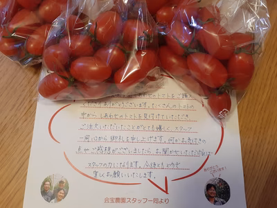 みんなの投稿の画像