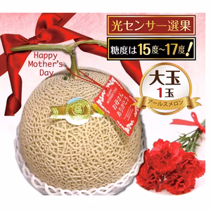【数量限定】母の日マル福アールスメロン（1玉2キロ以上）