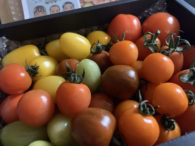 みんなの投稿の画像