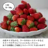 【訳あり特価品】ボリュームたっぷり！完熟小粒イチゴ 780ｇ×6箱