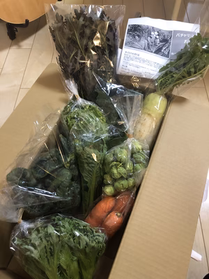 みんなの投稿の画像