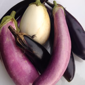 【東京・町田産】旬のナスセット 2kg 農薬・化学肥料・動物性堆肥不使用