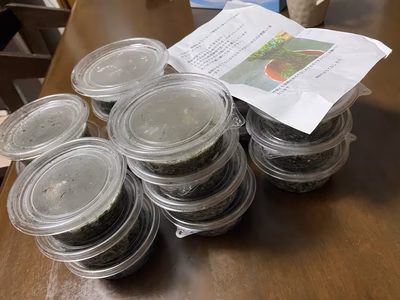 みんなの投稿の画像