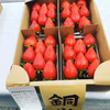 【加工用、ジャム用】ななか、ジューシー、恋みのり、あまおとめ、あすかルビー 