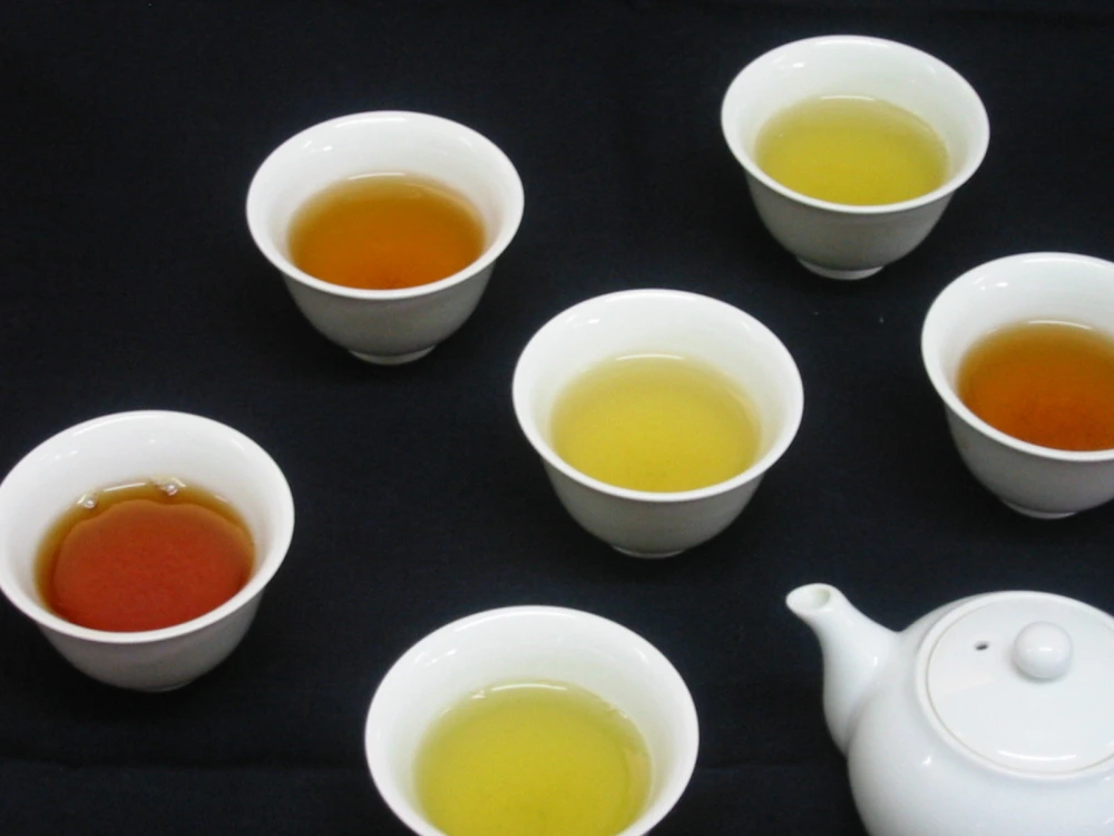 お得な日常茶６袋セット　いろいろ愉しい人気商品