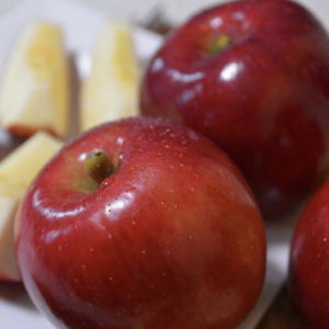 【先行予約】紅玉　家庭用✨そのままでも美味しい！アップルパイやジャムにどうぞ！