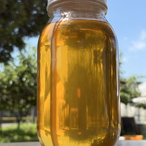 完熟梅の蜂蜜シロップ 大瓶１ℓ　梅ジュース・ソーダ割りに【伝右衛門はちみつ】使用