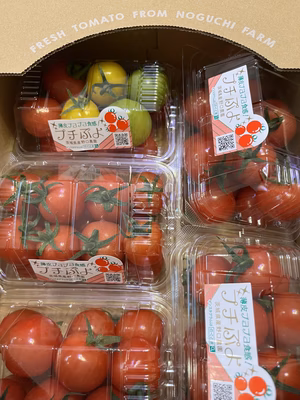 みんなの投稿の画像