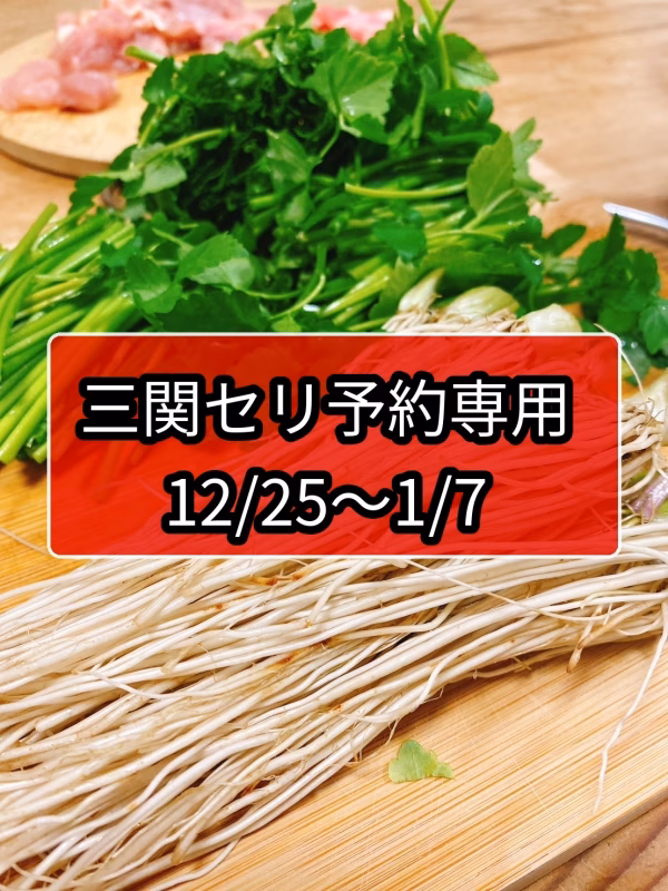年末年始予約専用！根っこが主役！湯沢市産『三関せり』 500ｇ
