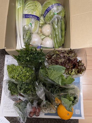 みんなの投稿の画像