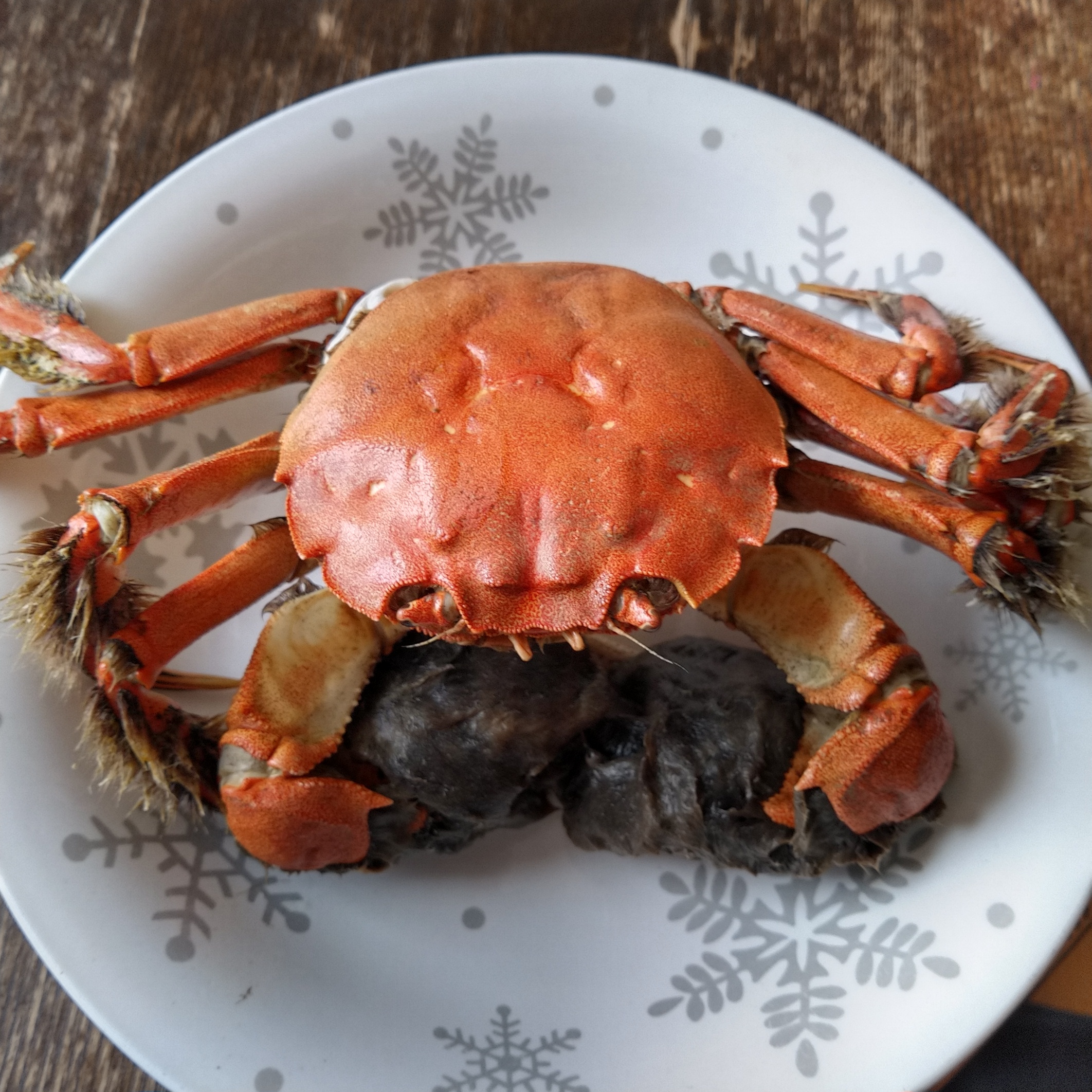 水なしタイプ 海で獲れたモクズガニ 大サイズ1ｋg/2ｋｇ ツガニ もくず