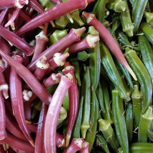 オクラ赤緑ミックス