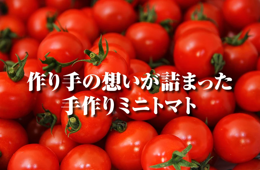 【極み】塩トマトのようなフルーツトマト　ソムリエミニトマト　ダイヤ