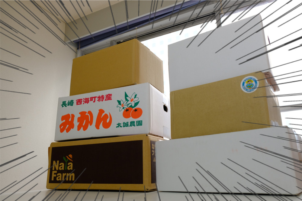 みかん大好き女子が6種類のみかんを大人買いして食べ比べてみたよ 農家漁師から産地直送の通販 ポケットマルシェ