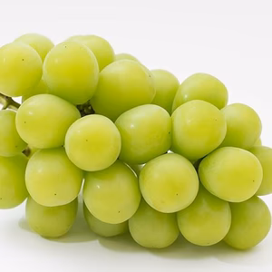 【農園直送・朝採】　厳選高級シャインマスカット