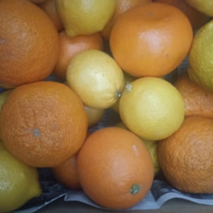 広島産 柑橘七種セット 食べ比べ　合計 5kg