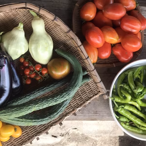【野菜セット】里山より・おまかせセット