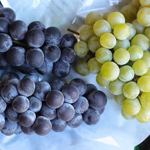 【数量限定】☆昭和の味☆青森県産キャンベル・アーリー＆ナイアガラ 約2kg詰め