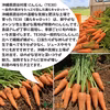 【送料無料】にんじん｜沖縄県読谷村